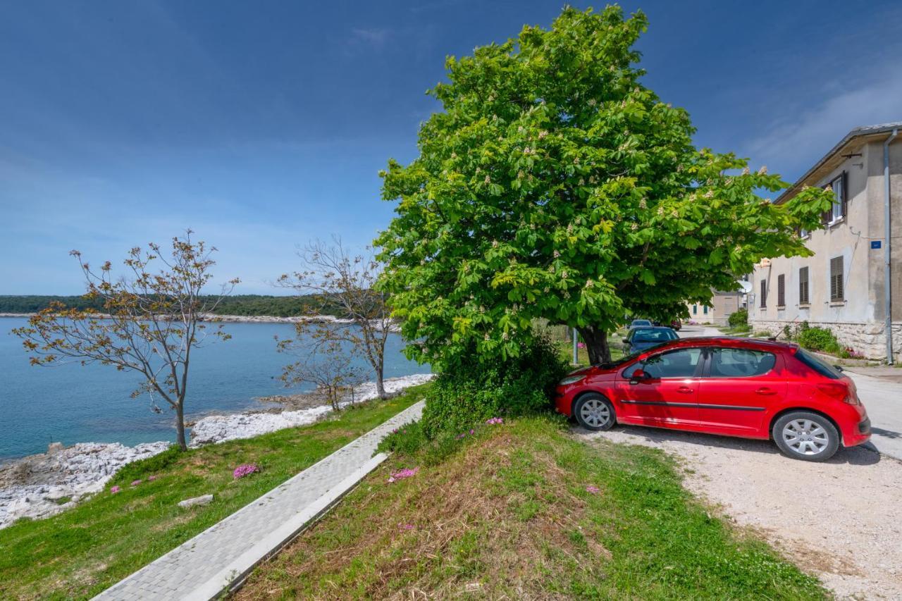 Apartment Dobric Коромачно Екстер'єр фото